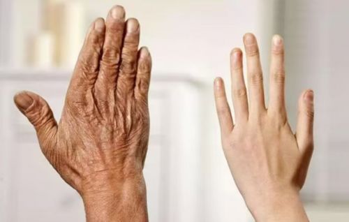 全测评！2025年度十佳护手霜品牌OG真人护手霜什么牌子的效果好？超(图6)